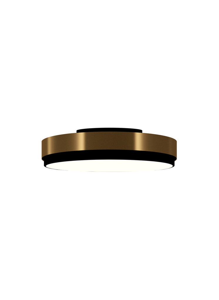 Discus-pl-large-02