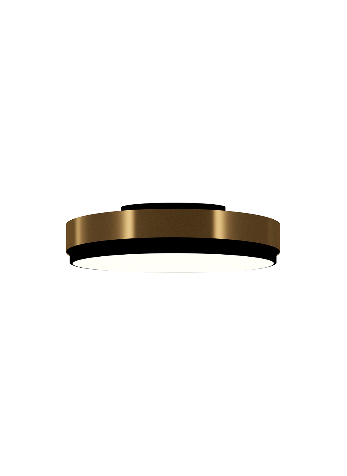 Discus-pl-large-02
