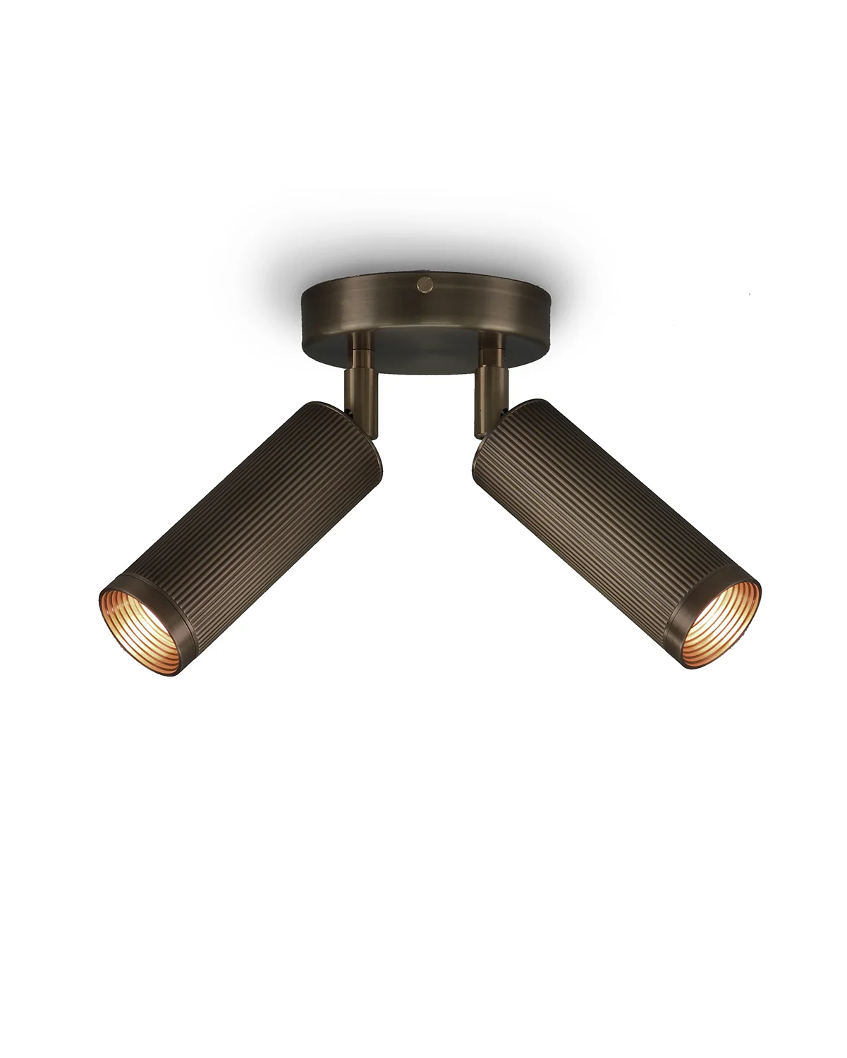 Spot_Double_Ceiling_Poster