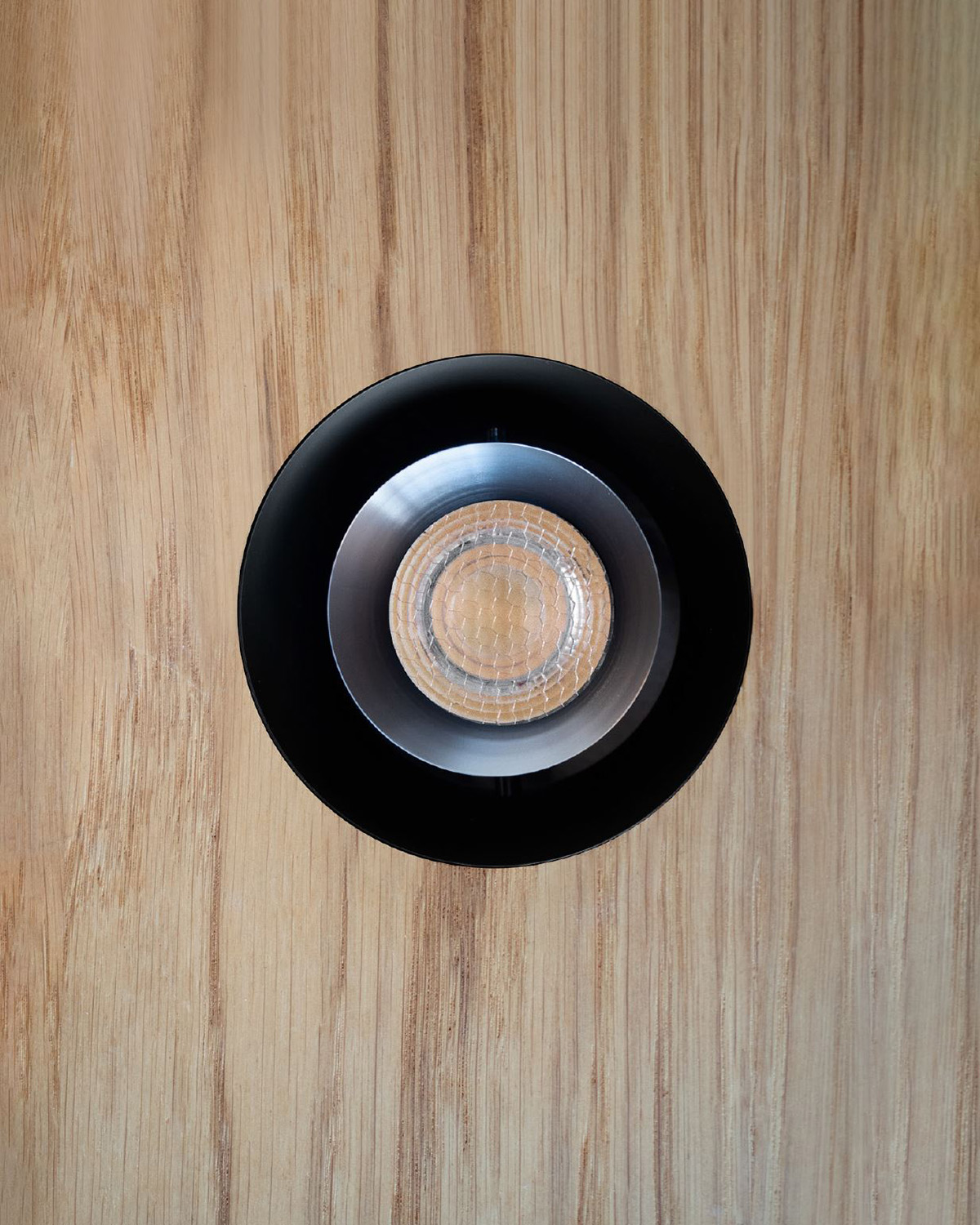 Storm-Medium-Back-007