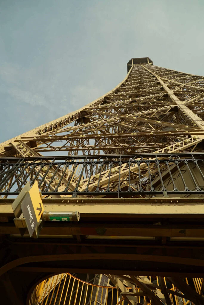 gallery-1-204-scaled