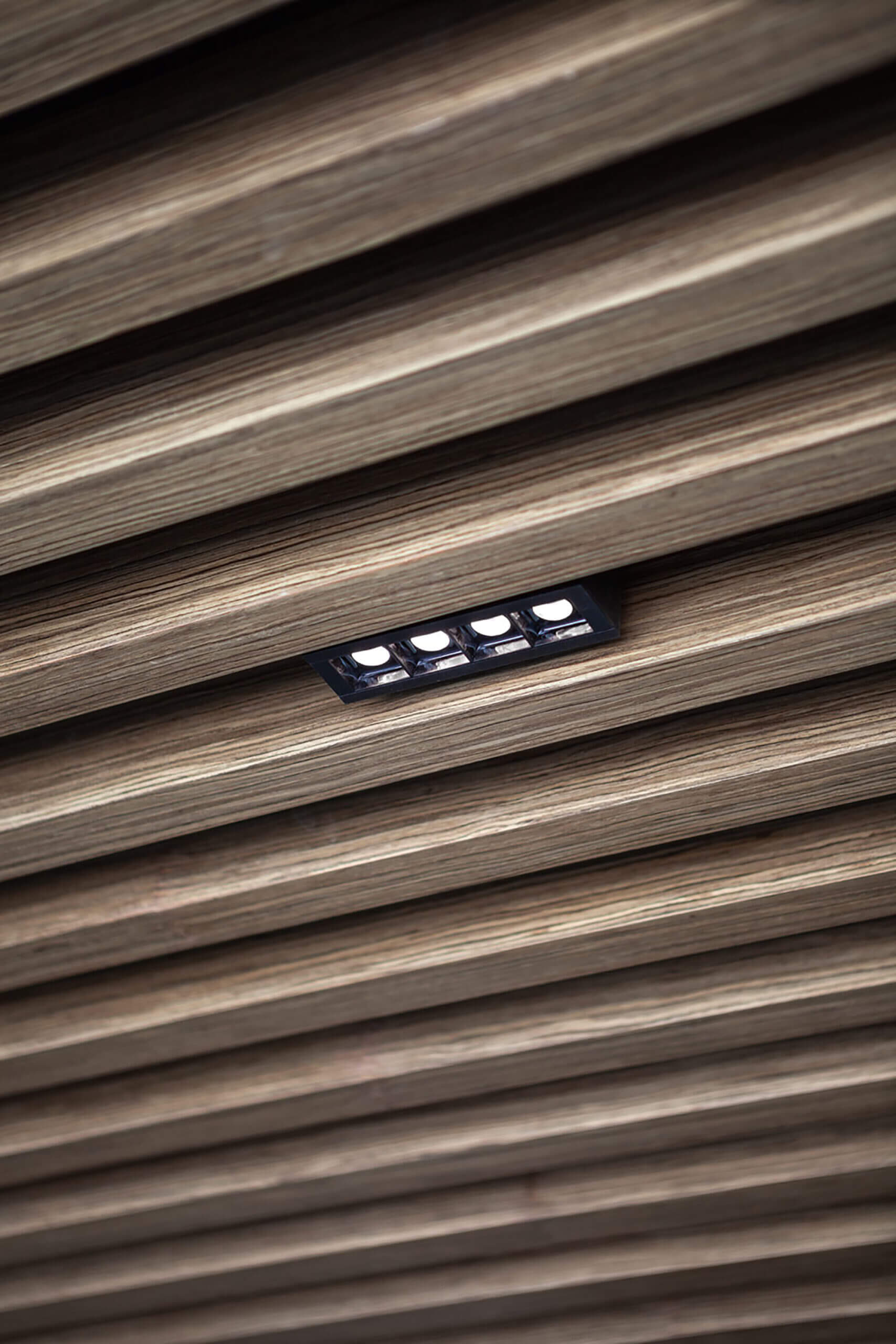 gallery-6-10-scaled_comp