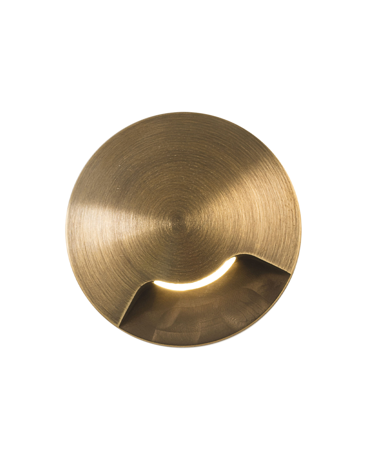 pax-1-293-1-scaled-1