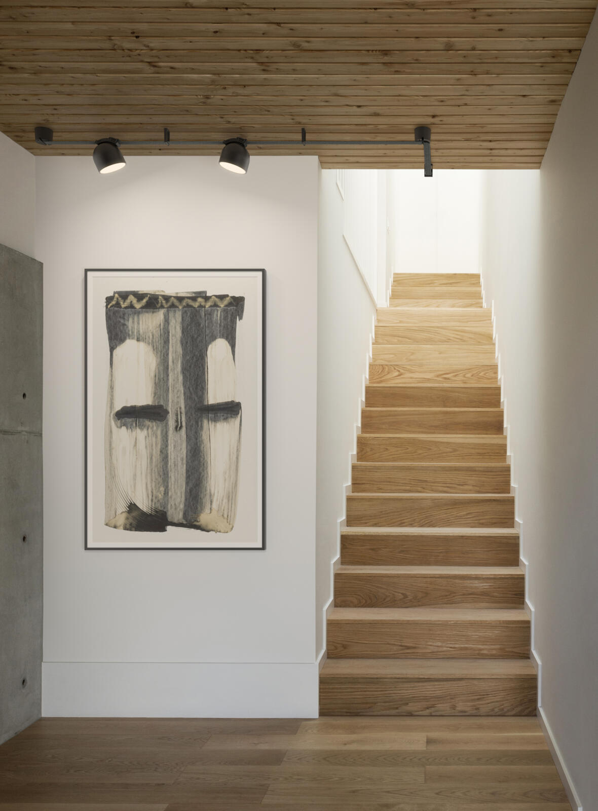 Plusminus Spotlight - Mollerrothe